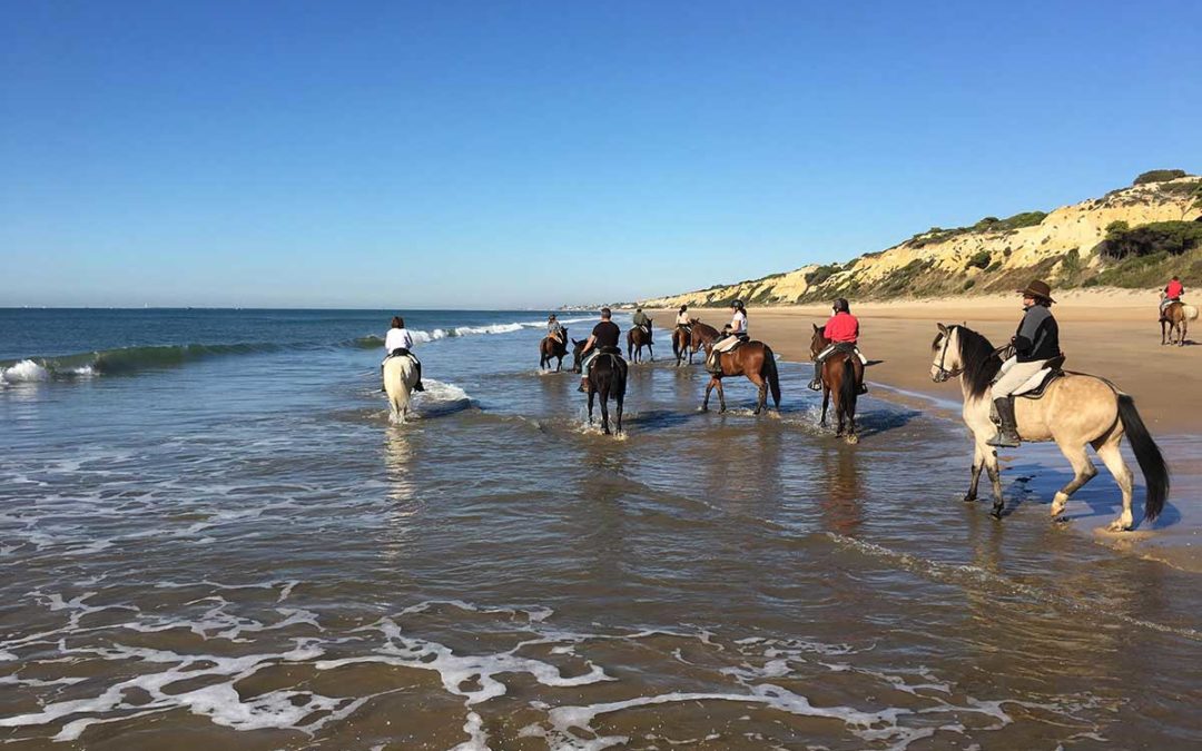 Doñana Completa